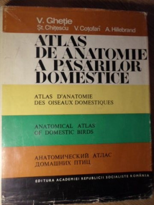ATLAS DE ANATOMIE A PASARILOR DOMESTICE (IN LIMBILE: ROMANA, FRANCEZA, ENGLEZA, RUSA)-V. GHETIE, ST. CHITESCU, V foto