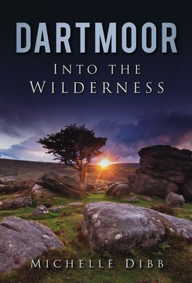 Dartmoor: Into the Wilderness foto