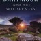 Dartmoor: Into the Wilderness