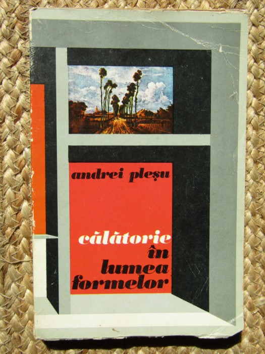 Andrei Pleșu - Călătorie &icirc;n lumea formelor