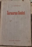 Turnarea Fontei - I. G. Ghirsovici