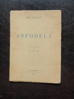 ASFODELA - ION PILLAT foto