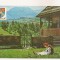 RF41 -Carte Postala- Borsa, Vf. Pietrosu, circulata 1977