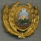 Y 1585 INSIGNA-MILITARA-EMBLEMA COIFURA- OFITER -RSR -PENTRU COLECTIONARI