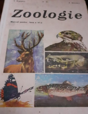 ZOOLOGIE MANUAL PENTRU CLASA A VI A I MIHAILESCU 1976? foto