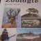ZOOLOGIE MANUAL PENTRU CLASA A VI A I MIHAILESCU 1976?