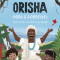 Knowing the Orisha Gods &amp; Goddesses