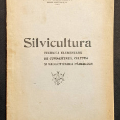 1946 SILVICULTURA Cultura Valorificare Amenajare PADURI / monografie forestiera