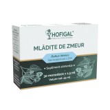 Mladite de Zmeur 30monodz