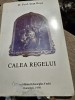 Calea regelui - Ioan Buga