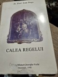 Calea regelui - Ioan Buga