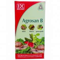 Insecticid AGROSAN B 500 GR foto