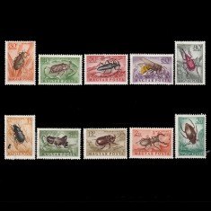 Rovarok (Insecte) LP1414-1423 Ungaria 1954