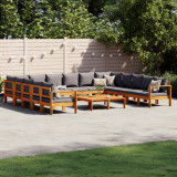 VidaXL Set de canapele de grădină cu perne 10 piese lemn masiv acacia