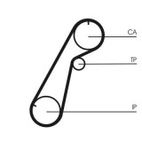 Curea distributie Ford Ranger; Mazda B-Serie, MPV I Motor 2.5 D, 2.5 D 4WD, 2.5 D 4WD, 2.5 D 4x4, 2.5 TD, 2.5 TD, 2.5 TD 4WD, 2.5 TD 4x4, 2.5 TDdi,