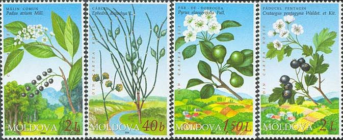 MOLDOVA 2004, Flora, serie neuzata, MNH