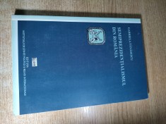 Gabriela Tanasescu - Semiprezidentialismul din Romania. Consideratii actuale (Editura Institutului de Stiinte Politice si Relatii Internationale 2015)