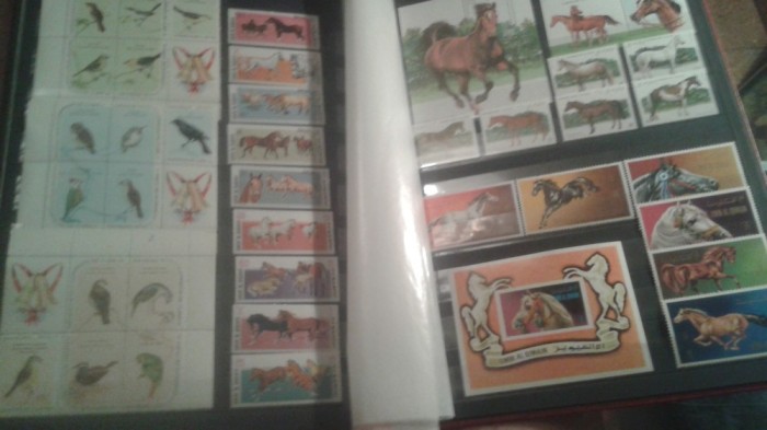 Lot timbre Fauna straine MNH Lot timbre Fauna straine MNH