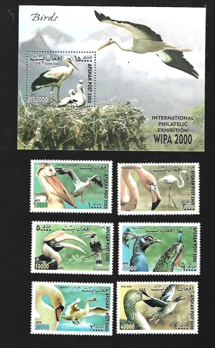 afgan pasari mnh
