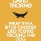 Wrap It in a Bit of Cheese Like You&#039;re Tricking the Dog: The Fifth Collection of Essays and Emails by New York Times Best Selling Author, David Thorne