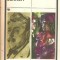 Viata in doi - Arnold Bennett