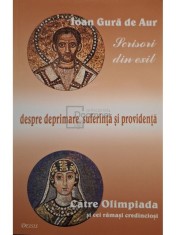 Ioan Gura De Aur - Scrisori din exil despre deprimare, suferinta si providenta foto