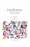 Amintiri din rai - Emil Brumaru