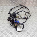 Cablaj ușă dreapta spate MASERATI QUATTROPORTE VI 2014 OEM: 6700075130,06700075130 13695137