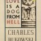 Love Is a Dog from Hell