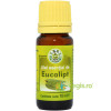 Ulei Esential De Eucalipt 10ml