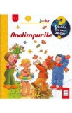 Anotimpurile 2-4 ani