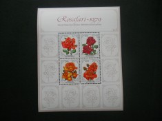 CV2 BLOC AFRICA DE SUD FLORA