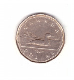 Moneda Canada 1 dollar/dolar 1988, stare buna, curata, America de Nord, Cupru-Nichel