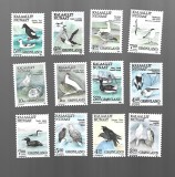 groenlanda pasari mnh
