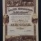 Actiune 1944 Sinaia , Soc. Emil Costinescu , titlu de 500 actiuni