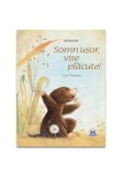 Cumpara ieftin Somn usor, vise placute