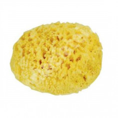 Burete natural de mare Honeycomb Spugnificio Bellini nr.12, 1 bucata, Dr. Brown's