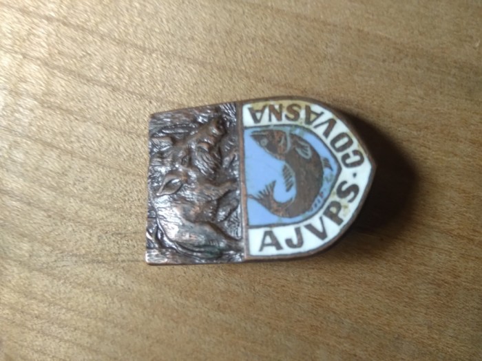 Insigna Vanatoare AJVPS Covasna peste