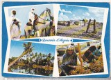 Bnk cp Algeria - carte postala necirculata, Circulata, Printata