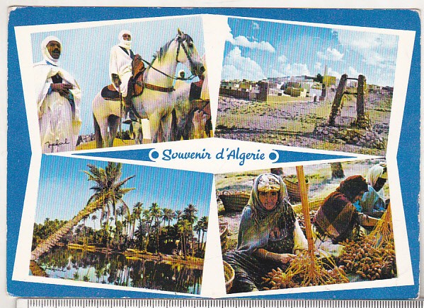 bnk cp Algeria - carte postala necirculata