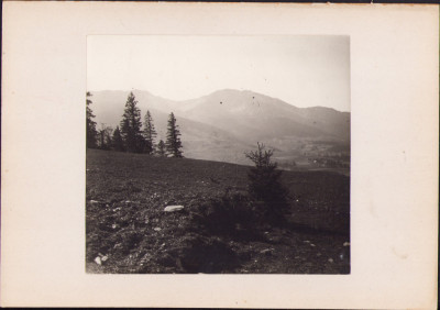 HST G75N Pietrosul văzut de pe pov&amp;acirc;rnișul de la Borșa 1921 foto