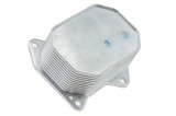 Radiator ulei motor, Termoflot Ford Transit 2.2tdci 2006-, Tractiune Fata, NTY CCL-FR-001