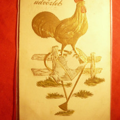 Ilustrata de Lux -Felicitare -gravura in aur- Cocos circ.cca.1910 la Turda
