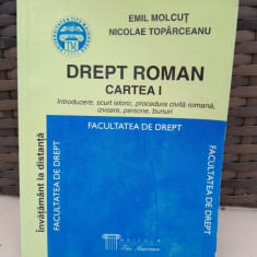 Drept roman. Cartea I - Emil Molcut