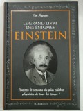 LE GRAND LIVRE DES ENIGMES, EINSTEIN par TIM DEPULOS, 2015