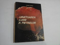 UIMITOAREA LUME A PIETRELOR - Tudor OPRIS foto