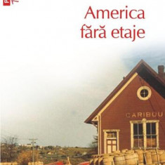 America fără etaje (Top 10+) - Paperback brosat - Evgheni Petrov, Ilya Ilf - Polirom