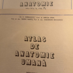 Atlas de anatomie umana,2 vol,Mircea ifrim