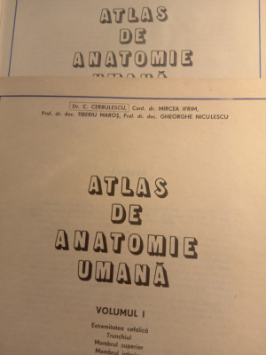 Atlas de anatomie umana,2 vol,Mircea ifrim foto