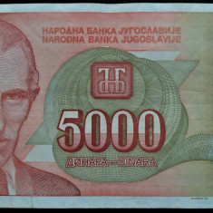 Bancnota 5000 DINARI / DINARA - YUGOSLAVIA, anul 1993 * cod 252